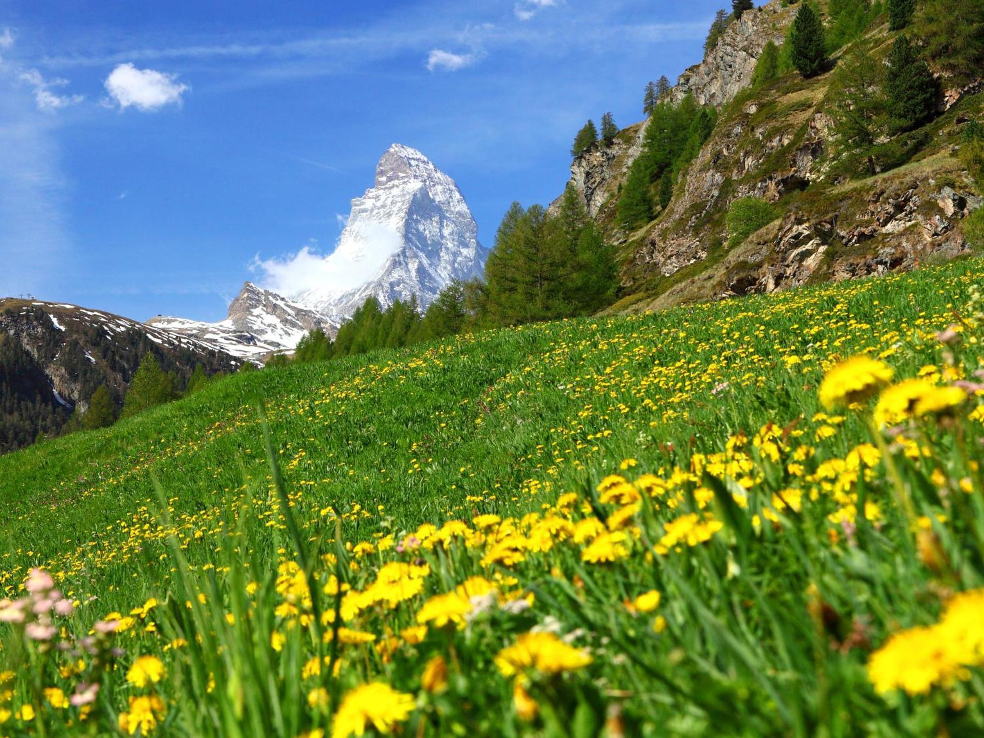 Pasadena-3 By Interhome * Zermatt